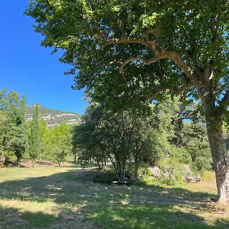 Des Anges #1 * Sauve