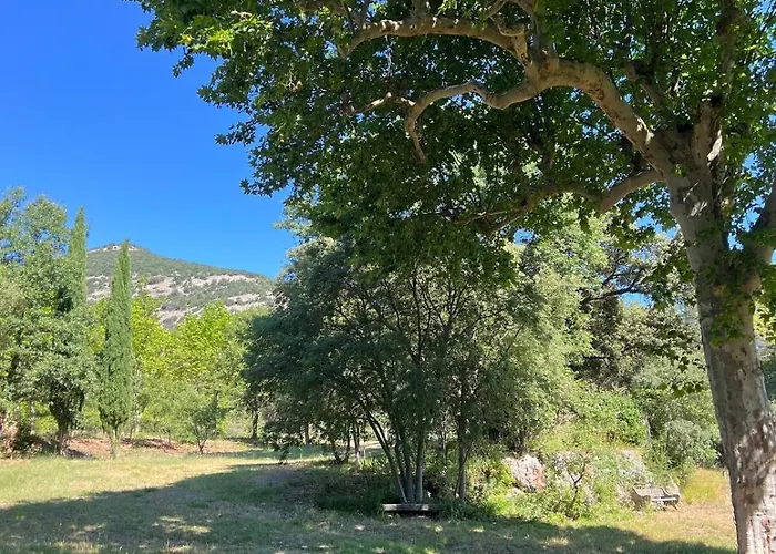 Des Anges #1 * Sauve